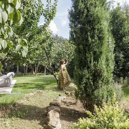 Hotel Palazzo Donna Elisabetta